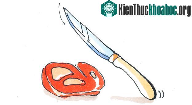 Dao cheft hoặc dao thái
