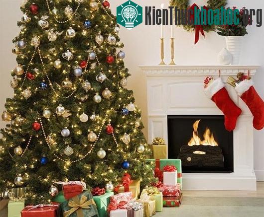 Hình ảnh ngày 24/12 còn gắn liền với sự ra đời của cây thông Giáng sinh.