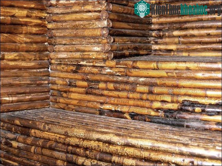 Con cháu ông cho rằng ông muốn thử nghiệm một vật liệu cách nhiệt rẻ và sẵn có trong thời kỳ suy thoái.