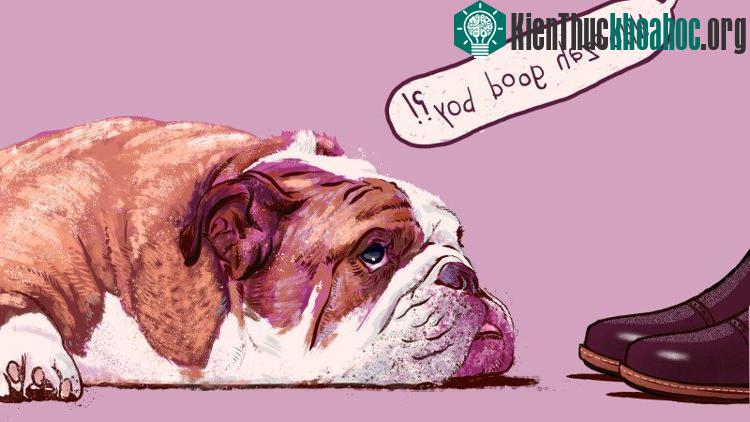 Âm thanh mà ta "đổi tông" thường có tần số cao, chậm rãi từng từ một và ngôn từ thì rất đơn giản.