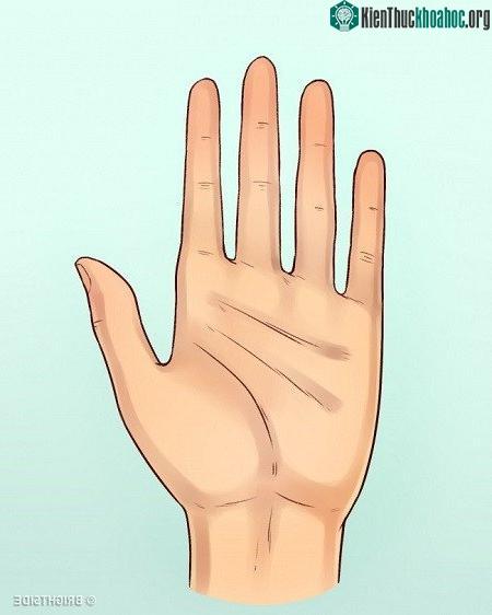 Nếu các ngón tay khít nhau, bạn là người thận trọng, cẩn thận, và khép kín.