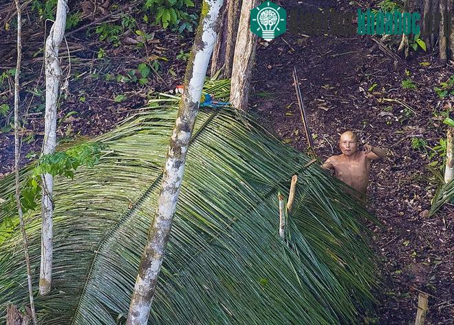 Ông José Carlos Meirelles, chuyên gia thuộc Quỹ Nghiên cứu Người da đỏ Brazil (FUNAI) khẳng định hành động bắn tên là "dấu hiệu kháng cự lành mạnh"