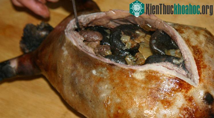 Món Boodog