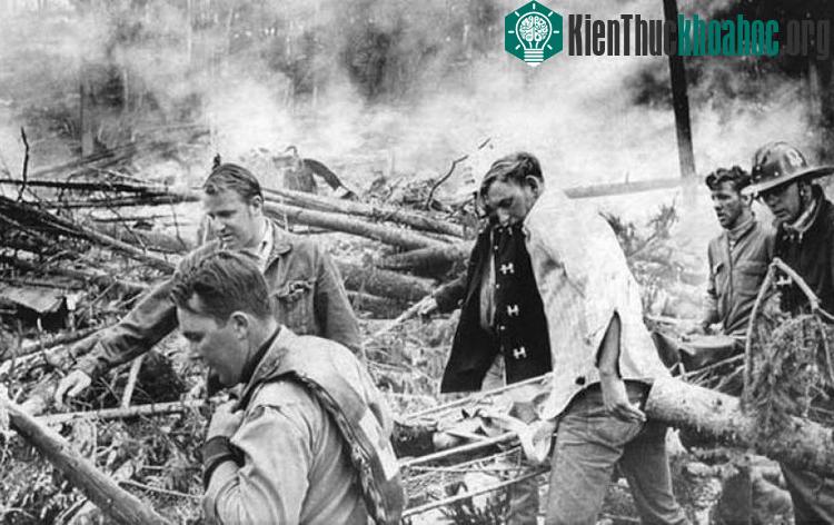 22/48 người trên máy bay thiệt mạng, gồm 16 cầu thủ.