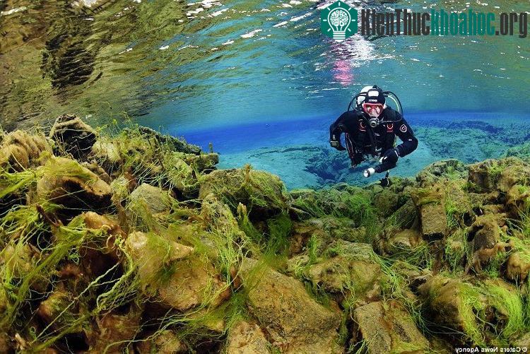 Cảnh vật dưới nước đều có thể nhìn rõ bằng mắt thường.
