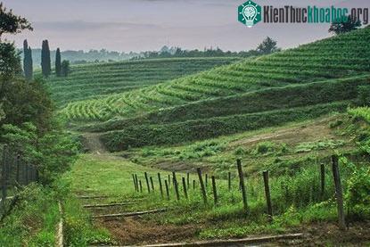 10 truyền thống đặc biệt trong ngày lễ tình nhân trên Thế giới