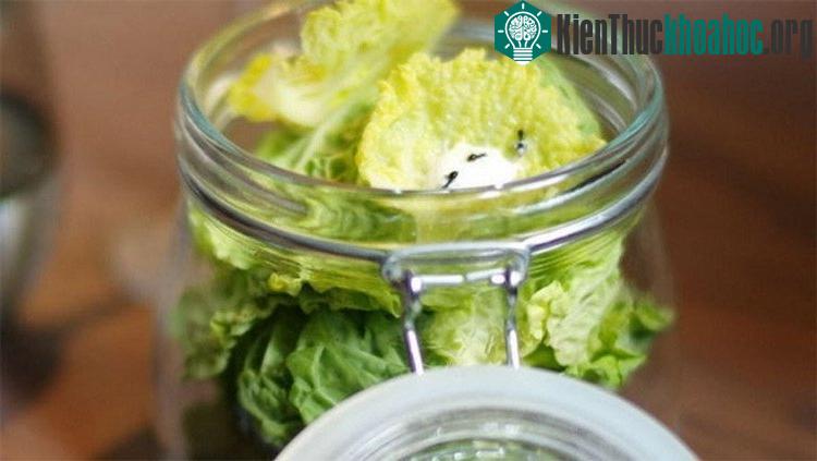 Tại một nhà hàng ở Đan Mạch có món kiến đông lạnh ăn kèm salad và có giá không hề rẻ.