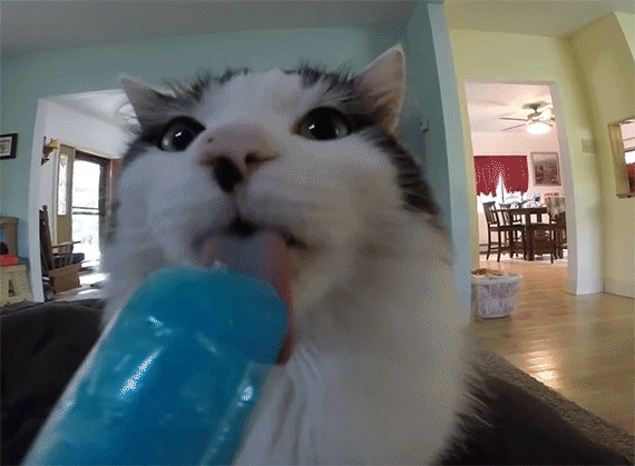 Ăn từ tốn thôi nhé!