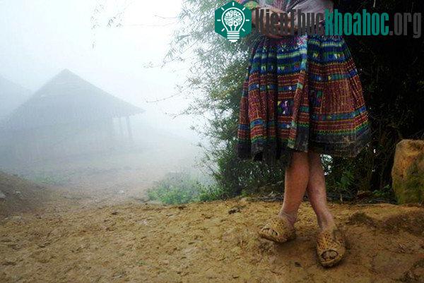 Nhiều người coi dép tổ ong là "huyền thoại" không phải vì mẫu mã hay giá thành mà nhờ sự thân thuộc với người tiêu dùng.