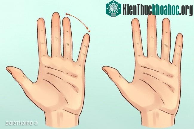 Hình dáng bàn tay có thể nói lên tính cách của một người ảnh 5