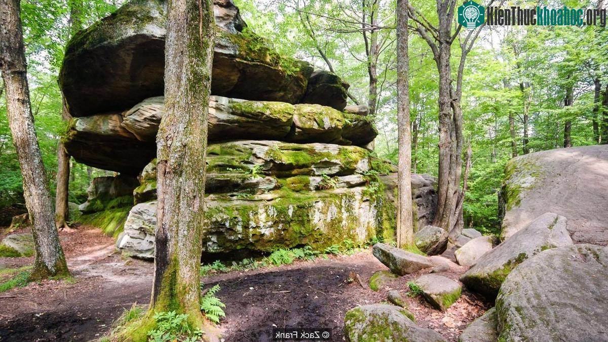 Công viên Allegany tại New York tạo đường biên phía bắc với khu rừng Allegheny.