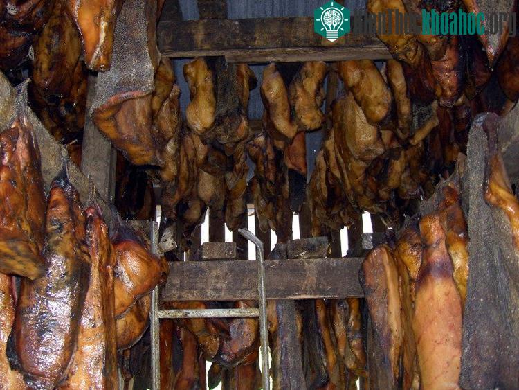 Cá mập lên men