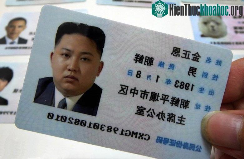 Đây cũng là nơi những người có nhu cầu làm giấy tờ giả có thể tìm thấy các chuyên gia trong lĩnh vực này.