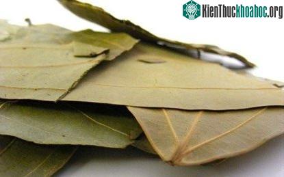 10 truyền thống đặc biệt trong ngày lễ tình nhân trên Thế giới