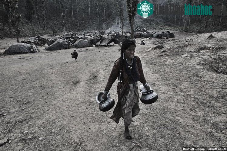 Người Raute rất hạn chế tiếp xúc với người ngoài.