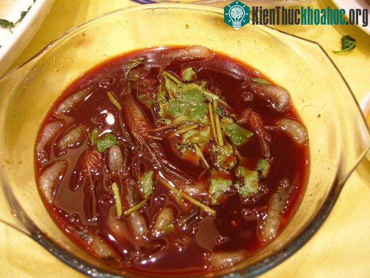 Tôm sống khi được thả vào rượu sake sẽ nhảy lên tanh tách trên đĩa.