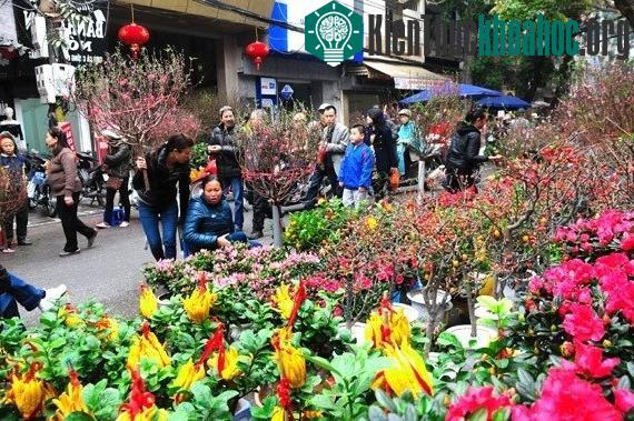 Dù Tết xưa hay tết nay, những loại hoa và cây cảnh may mắn dịp Tết vẫn được người dân ưa chuộng.