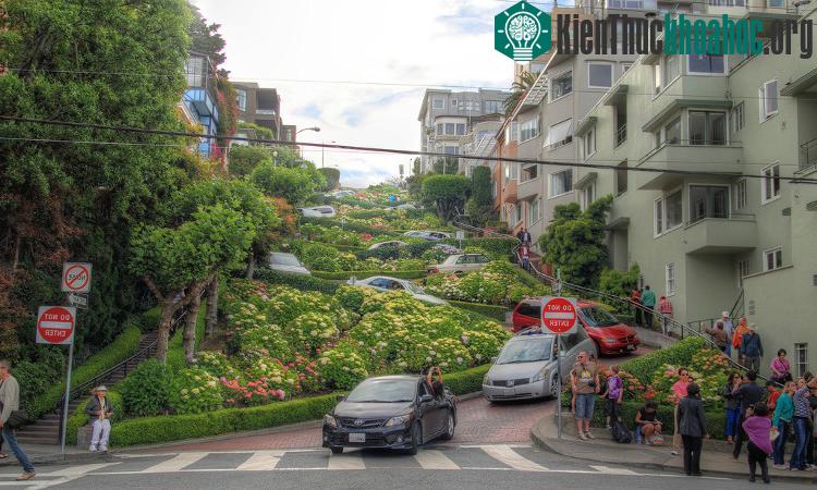 Ôtô bò trên con phố quanh co nhất thế giới ảnh 8