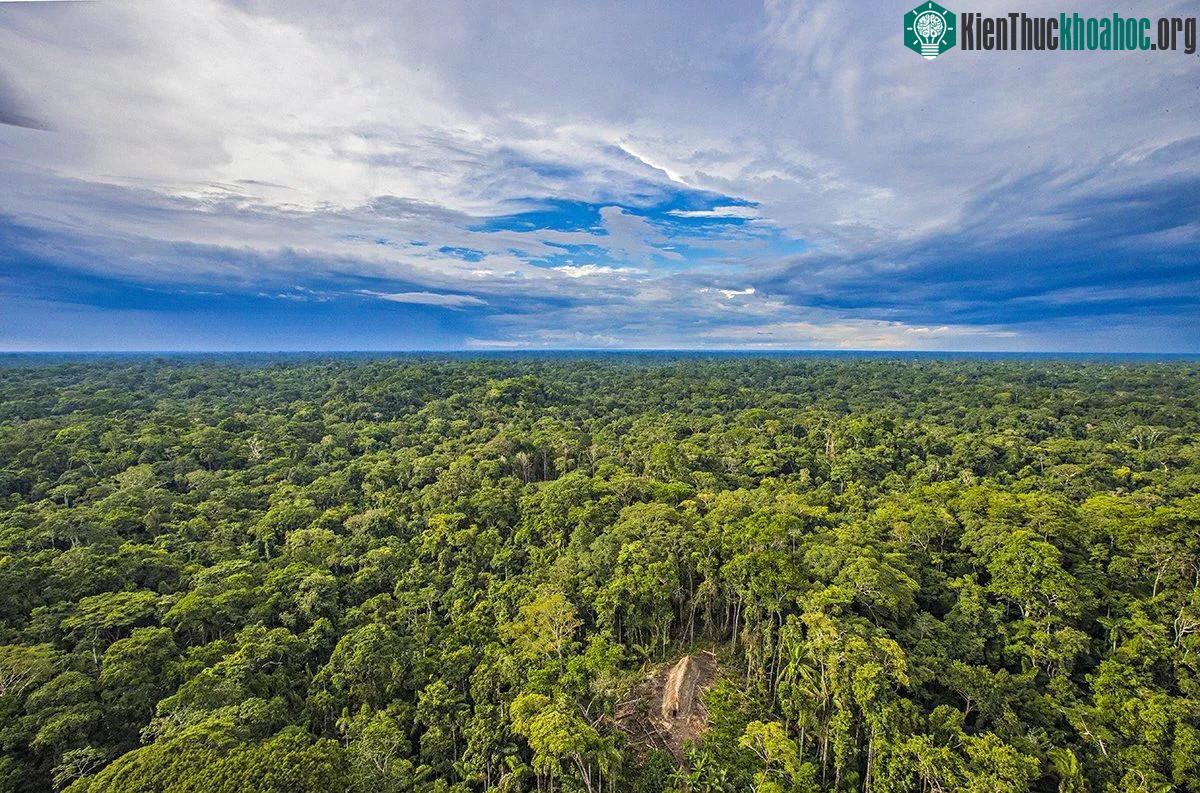 Chúng ta sống trong thời đại mà con người đã bước đi trên mặt trăng, nhưng ở Brazil vẫn có những cư dân bản địa sống theo cái cách mà nhân loại đã xây dựng từ cách đây hàng chục nghìn năm