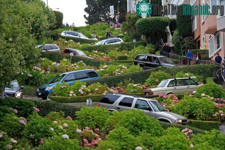 Phố Lombard, San Francisco, California, Mỹ