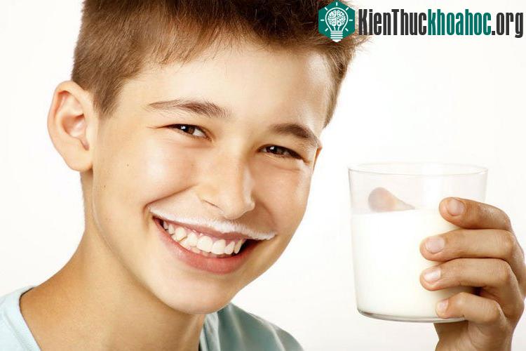 Các thực phẩm giàu canxi bao gồm các sản phẩm từ sữa - như sữa, pho mát và sữa chua.