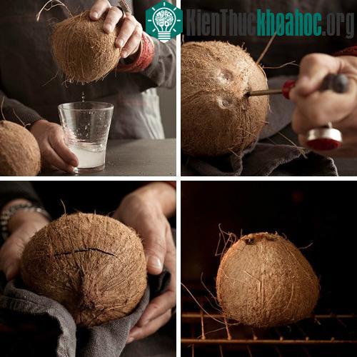 Bổ dừa không hề tốn sức