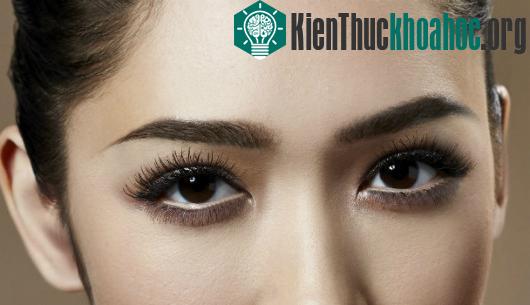 Tóc ở những vùng này có dài, chỉ có điều nó không dài nhanh như tóc trên đầu.