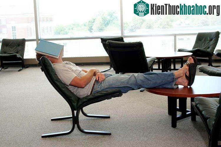 Những người lười biếng thường sở hữu chỉ số thông minh cao theo nghiên cứu của các nhà khoa học Mỹ. (Ảnh minh họa: Who Trades).