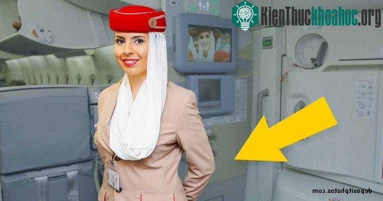 Liệu đó có phải là quy định của hãng, hay chỉ là một sự trùng hợp?