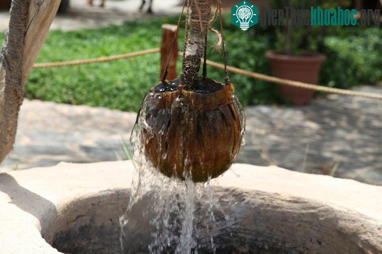 Não bộ cũng tương tự như xô, chỉ đến khi lượng kiến thức bạn nạp vào quá đầy đầy thì nó mới "tràn" ra ngoài?