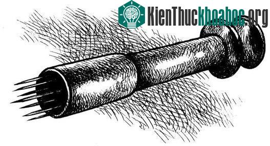Những mũi cạnh sắc nhọn chọc xuyên qua da, trong khi ông xi-lanh có nhiệm vụ hút máu trực tiếp ra ngoài.