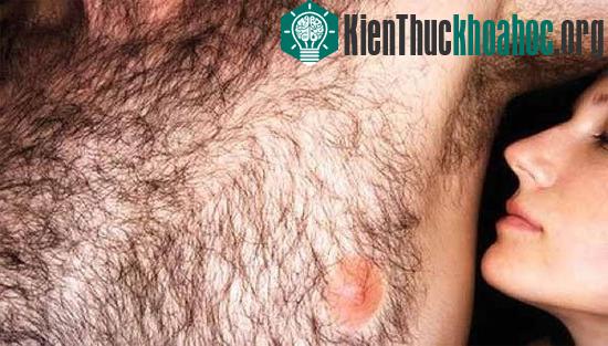 Trí thông minh của mỗi người phụ thuộc vào... lượng lông trên cơ thể