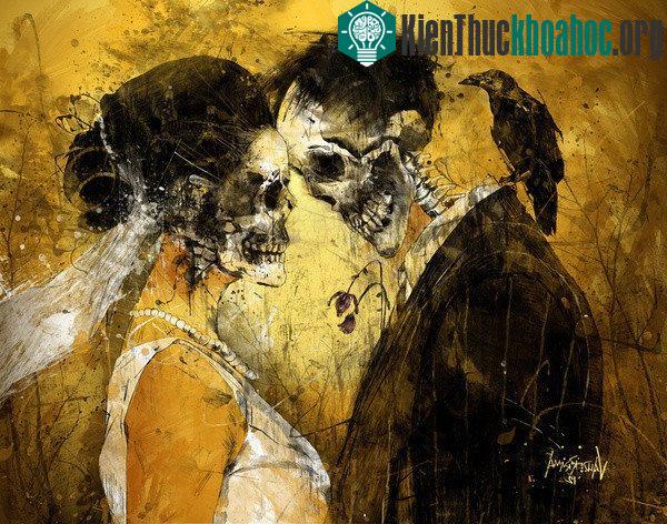 Quá trình phân hủy