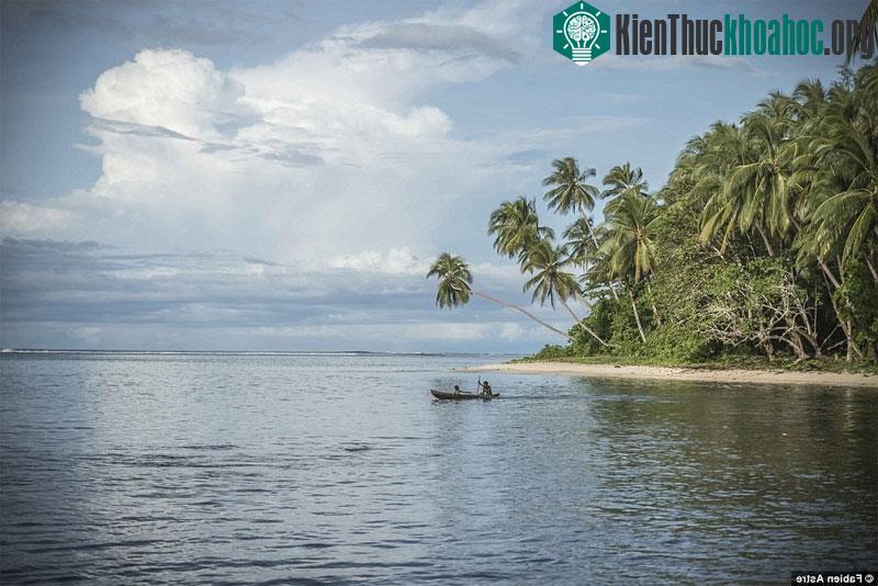 Ở đây, ngày hay tuần hoàn toàn không có ý nghĩa