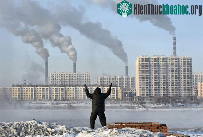 Biến đổi khí hậu, ô nhiễm không khí, Trái đất nóng lên đang là những vấn đề rất lớn mà nhân loại phải đối mặt. Mặc dù chúng ta đã có nhiều biện pháp để giúp ngăn chặn và cải thiện vấn đề này, tuy n...