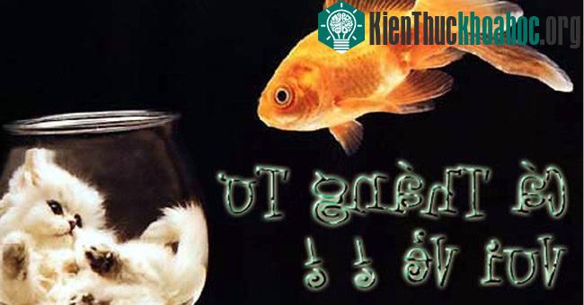 Ngày nói dối