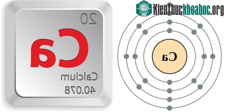 Canxi lại là nguyên tố kim loại có nhiều nhất trong cơ thể con người.