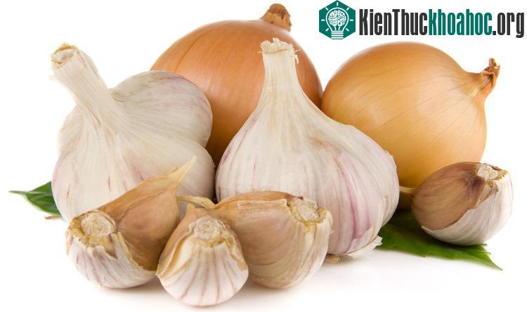 Allyl Methyl Sulfide còn tiết ra ngoài cơ thể thông qua tuyến mồ hôi.
