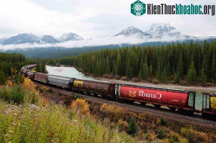 Rừng ở Canada.