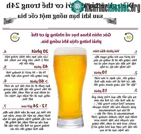 Khi uống bia, cồn sẽ được hấp thụ ngay trong niêm mạc miệng từ lúc uống vào.