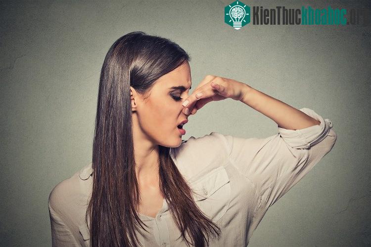 Mồ hôi thoát ra khỏi cơ thể không hề có mùi.