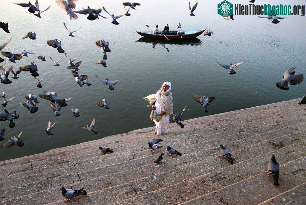 Varanasi, Ấn Độ.