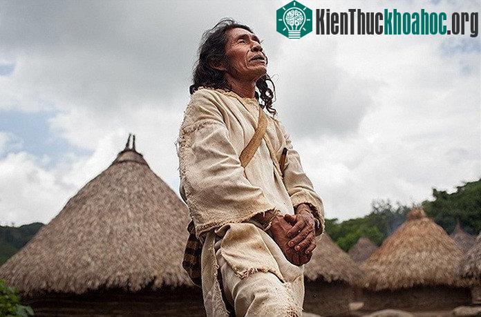 Người Kogi gần như không mắc bệnh, rất khỏe mạnh, ngay cả sâu răng cũng không một ai bị.