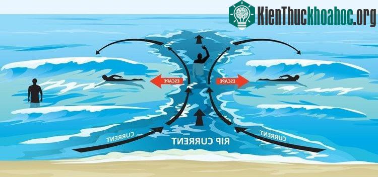 Nước bị đánh vào bờ sẽ chảy theo dòng được gọi là dòng chảy rút xa bờ. (Ảnh: beachsafe).