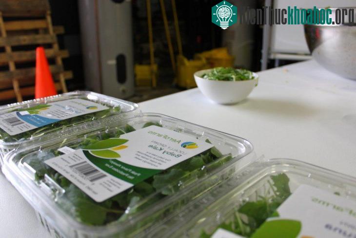 AeroFarms cung cấp rau sạch quanh năm cho New York và New Jersey với mức giá rẻ ngang rau diếp hữu cơ.