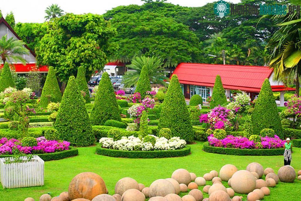 Trong khuôn viên vườn hiện nay có đến 20.000 họ cây nhiệt đới được sưu tầm từ hơn 50 quốc gia khác nhau.