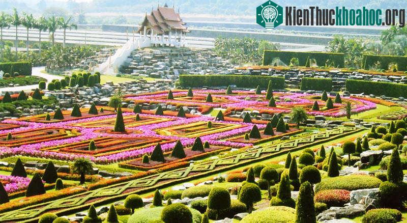 Các khu vực cây cảnh được sắp xếp tỉ mỉ và tỉa gọt đẹp mắt, công phu. Hình dạng, kích thước của các loài cây đã tạo nên vẻ đẹp độc đáo, rất riêng cho ...