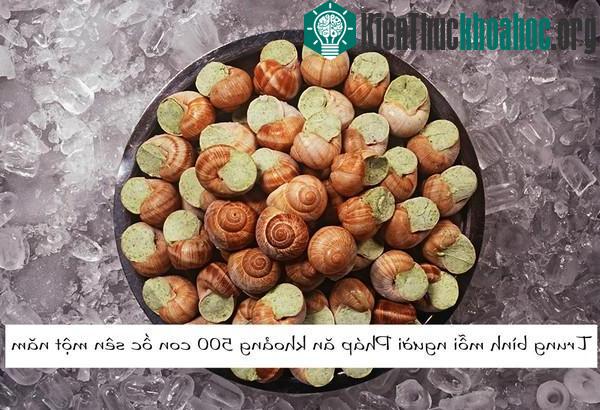 Người Pháp chế biến rất nhiều món từ ốc sên, trong đó món ốc sên bơ tỏi.