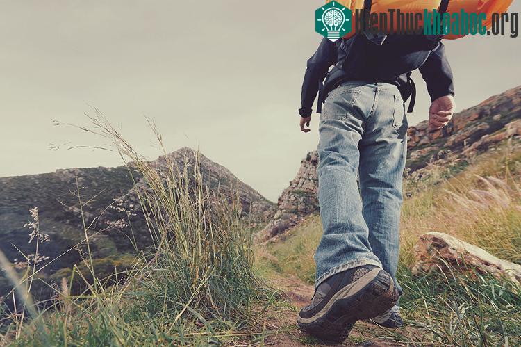 Leo núi cũng là nghệ thuật, và nghệ thuật này cần phải làm đúng.