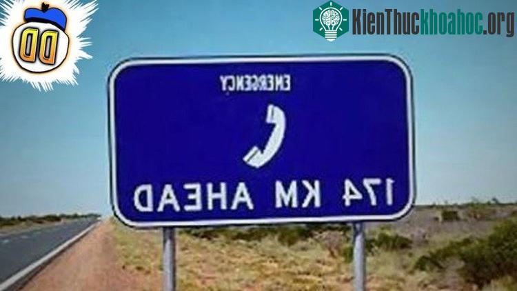 Nội dung tấm biển là "Gọi điện khẩn cấp ở 174 km phía trước". Tưởng tượng xe của bạn bị hỏng giữa đường và điện thoại không có sóng. Bạn đi bộ dọc đường thì bất ngờ nhìn thấy tấm biển này...